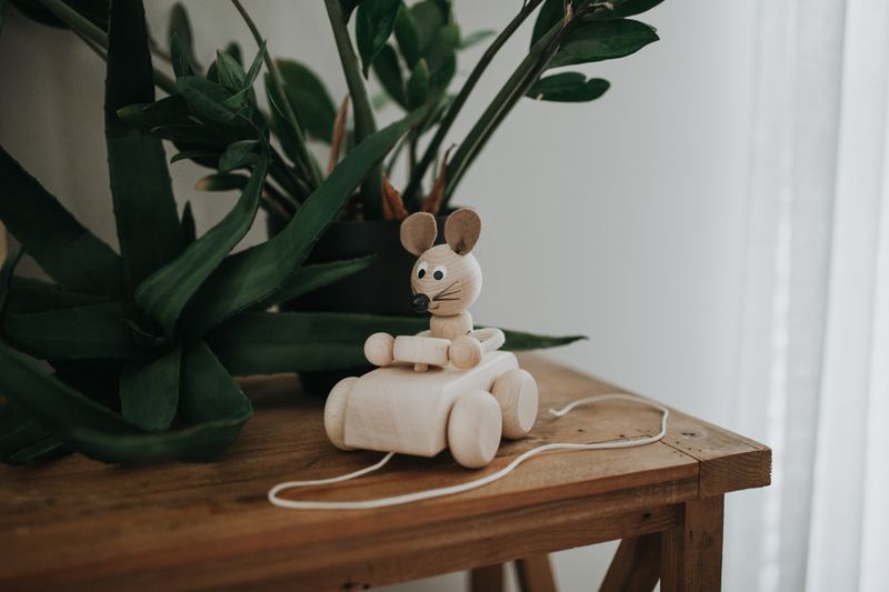 Wooden Pull-Along Toys